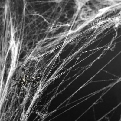 Hvid-Spindelvaev-med-edderkopper-60g-1.jpg