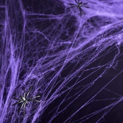 Purple Cobweb with spiders